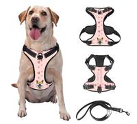 Customized No Tension Dog Harness, Reflective Pet Carrier with Name and Picture for Outdoor Walking of Small, Medium, and Large Dogs and Cats, Attached Leash Optional