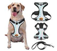 Customized No Tension Dog Harness, Reflective Pet Carrier with Name and Picture for Outdoor Walking of Small, Medium, and Large Dogs and Cats, Attached Leash Optional