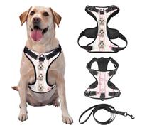 Customized No Tension Dog Harness, Reflective Pet Carrier with Name and Picture for Outdoor Walking of Small, Medium, and Large Dogs and Cats, Attached Leash Optional