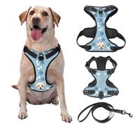 Customized No Tension Dog Harness, Reflective Pet Carrier with Name and Picture for Outdoor Walking of Small, Medium, and Large Dogs and Cats, Attached Leash Optional