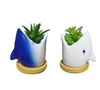 Cute 3.85 inch Tall Animal Shark Shaped Ceramic Succulent Cactus Flower Pots (White+Blue)