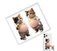 Cute 3D Stickers Funny Cat Belly Stickers for Crafts, Laptop Stickers and Mobile Phone Decoration, for Diary, Notebook, Journal, Cup, Water Bottle, Tablet, Skateboard, Luggage, Children