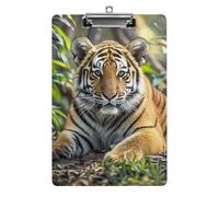 Cute Acrylic Clipboard 8.5x12 Inch - Big Tiger Low Profile Clip Board for Letter/A4 Paper, Lightweight Office Supplies with Vibrant Prints, Hanging Clipboards for Work & Gift