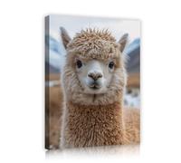 Cute Alpaca Delight Canvas Wall Art Modern Animal Picture Rustic Landscape Prints Nature Posters Painting for Home Living Room Decor 75x100cm Innerframe