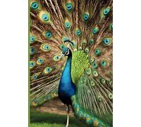 Cute and Funny Animal Notebook - Peacock: Composition Journal College Ruled with an Inspiring and Motivational Quote on Every Page