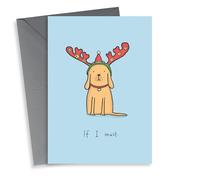 Cute and funny dog Christmas card - dog wearing Xmas antlers - if I must