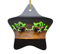 Cute And Funny Funny Frogs Print Christmas Tree Ceramic Hanging Star Shaped For Holidays Xmas Tree Decoration Gift