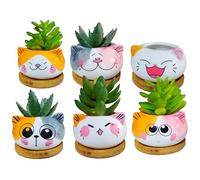 Cute Animal Ceramic Succulent Planters Set - Handmade Porcelain Flower Pots for Indoor Plants | Unique Home Decor & Gift for Plant Lovers (6-Pack) (Cat with Tray)