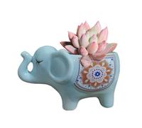 Cute Animal Elephant Shaped Ceramic Succulent Cactus Air Plant Flower Pots Planters-Plant Not Included (Blue)