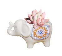 Cute Animal Elephant Shaped Ceramic Succulent Cactus Air Plant Flower Pots Planters-Plant Not Included (White)