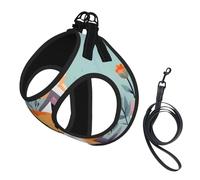 Cute Animal Fox Flowers Print Soft Mesh Dog Harness and Leash Set Pet Puppy Cat Comfort Padded Vest No Pull Harnesses