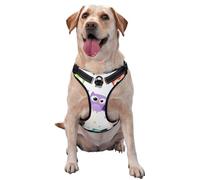 Cute Animal Owl Print Pattern,Pet Harness,Adjustable Reflective Dog Harness,Pet Leash Vest,M