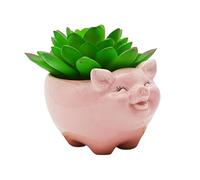 Cute Animal Pig Shaped Ceramic Succulent Cactus Flower Pots with Bamboo Tray (Plant Not Included) (Small, Pink)