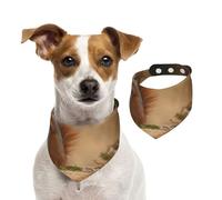 Cute Animal Red Squirrel Sciurus,Dog Bandanas Cotton Pet Scarf Adjustable Bibs for Pet,M