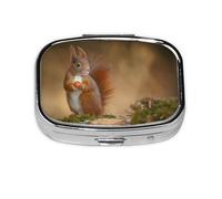 Cute Animal Red Squirrel Sciurus,Meta Pill Box 2 Compartment Medicine Case,Portable Organizer,Rectangle Meta Portable Organizer Pill Box 1932 Compartment Medicine Case