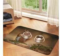 Cute Animal Red Squirrel Sciurus,Waterproof Pet Feeding Mat,PU Leather Placemats for Cat Dog Water Bowl,Food Mats,40x60cm