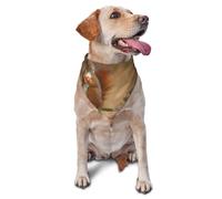 Cute Animal Red Squirrel SciurusDog Bandanas Cat Puppy Scarfs Washable Pet Handkerchief