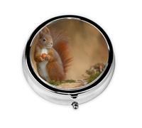 Cute Animal Red Squirrel SciurusMeta Pill Box 3 Compartment Medicine Case,Portable Organizer