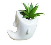 Cute Animal Shark Shaped Ceramic Succulent Cactus Flower Pots (White)