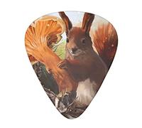 Cute Animal Squirrel 12-Pack Guitar Picks, Includes Thin, Medium & Heavy Gauges 3 Sizes for Guitar Electric Acoustic Picks