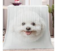 Cute Animals Bichon Frise Blanket Soft Fleece Blanket for Kids Adults Throw Unique Gift Comfy Lightweight Fuzzy Plush Blanket Baby for Couch Sofa Bed Office White Summer Fall Air Conditioning Blankets