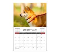 Cute Animals Calendar - Artistic Creative Planner,Dog and Cat Wall Calendar - For Home School Table Desk Study Planning Family Organization Workplace A