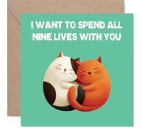 Cute Anniversary Card - All Nine Lives - Adorable Happy Anniversary Card for Women Men, 145mm Joke Humour Anniversaries Greeting Cards