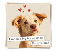 Cute Apology Card for a Loved one - I Made A Big Mistake - Forgiveness, Apologies, Sorry - Love, Hearts - Special, Sincere - for A Friend, Bestie, Partner, Husband, Wife