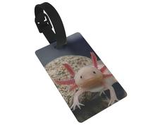 Cute Axolotl PVC Luggage Tag Bag Tags with Wristband Suitcase Name Id Card Labels Identifiers for Women Men Travel pattern86