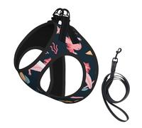 Cute Axolotls,Pet Harness,Adjustable Reflective Dog Harness,Pet Leash Vest,L