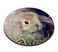 Cute Baby Bunny Rabbit Pet Animal - Flexible Round 5mm Rubber Mouse Mat Pad Office Home Novelty Printed Desk Accessory - 44752