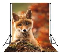 Cute Baby Fox Print Photo Studio Background 5x7ft Soft Photo Backdrop Curtain For Studio Content Creator Equipment