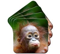 Cute Baby Orang-utan Animal Coaster/Pack of Coasters
