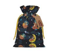 Cute Baby Sloths Sleeping Print Reusable Drawstring Pouch,Perfect For Birthdays,Anniversaries,And Parties