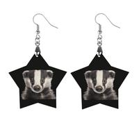 Cute Badger Cute Wooden Earrings for Women Dangling