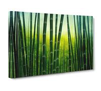 Cute Bamboo Forest Canvas Print | Gallery Wrapped 30mm Frame Wall Art | 30x20 inches | Ready to Hang | Contemporary Floral Picture | Living Room Bedroom Lounge Office