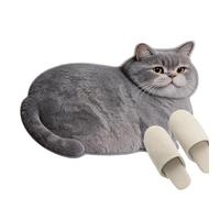 Cute Bath Mat - Absorbent Washable Floor Carpet,Cat Fun Bathroom Rugs Floor Mats | for Indoor Home Front Door Entryway Shower Kitchen Bedroom Living Room Hallway Apartment