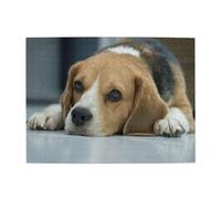 Cute Beagle Dog Lies On Floor Adults 500 Pieces Puzzles-Jigsaw Wooden Puzzle for Adults Elderly