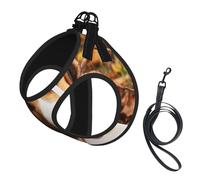 Cute Beagle,Pet Harness,Adjustable Reflective Dog Harness,Pet Leash Vest,M