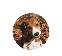 Cute Beagle Printing 10 Pcs Car Air Freshener Hanging Sheets Scented Hanging Sheets With Rope For Home