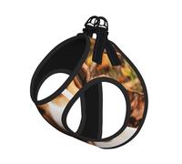 Cute Beagle Printing Dog Summer Harness With Leash Set,Adjustable And Reflective Step-In Puppy Pet Vest Harnesses