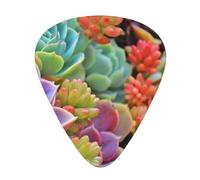 Cute Beautiful Succulents,12 Pcs Guitar Pick,3 Different Thickness Plectrums for Acoustic Guitar Bass Ukulele (0.46mm 0.96mm 0.71mm)