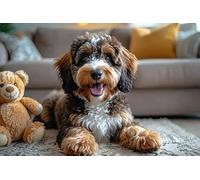 Cute Bernedoodle Dog 1000 Piece Jigsaw Puzzles for Adults Smiling Dog Animal Wooden Puzzles for Youth Children Difficult Challenging Puzzle Game Toy Best Gifts Funny Family Wall Art Decor
