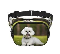 cute Bichon Frise Dog Print Fashion Waist Packs Square Layer Waist Bag Black Belt Bag with Adjustable Strap, Black, One Size