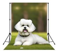 Cute Bichon Frise Dog Print Photo Studio Background 5x7ft Soft Photo Backdrop Curtain For Studio Content Creator Equipment