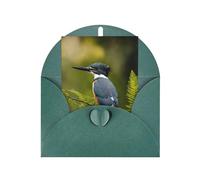 Cute bird Print Adorable Blank Cards& Envelopes,Unique Designs Perfect for Festivals, Invitations