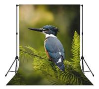 Cute Bird Print Photo Studio Background 5x7ft Soft Photo Backdrop Curtain For Studio Content Creator Equipment