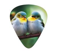 cute birds in love Printed Guitar Picks 12-Piece Set - Comfortable, Versatile Plectrum for All Guitar Styles & Players