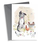 Cute Birthday Card - Border Collie Dog with Hens