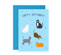 Cute Birthday Card Cats on Hats - Gifts for Cat Lovers, Fur Daddy or Mum, Cat Guy Lady, Him, Her, Friends, Family, Colleagues, Brother, Sister, Kids, and Adults - Pet Owners -Comes with Fun Stickers